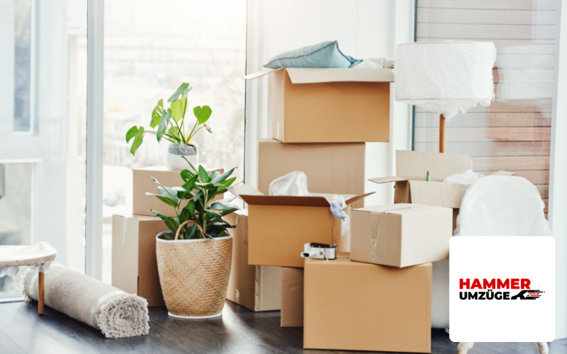 Umzugskartons, Umzugsunternehmen