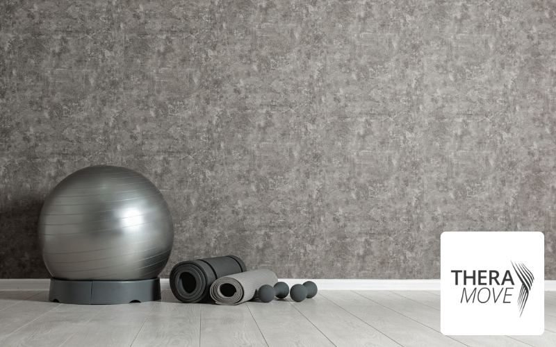 Medizinball, Physiotherapie Logo